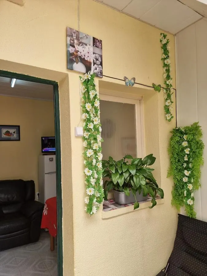 Holiday home Cozy Pilar House 19 Villa Funchal
